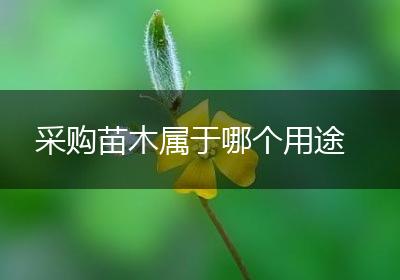 采购苗木属于哪个用途