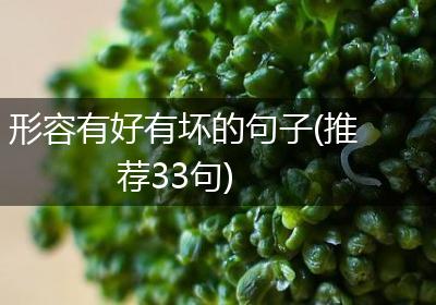 形容有好有坏的句子(推荐33句)