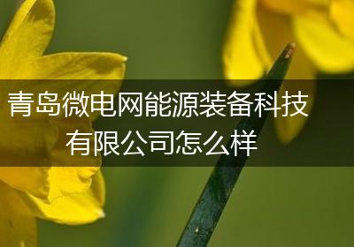 青岛微电网能源装备科技有限公司怎么样