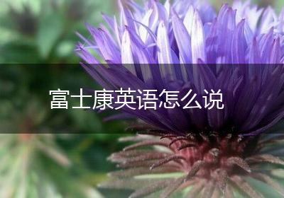 富士康英语怎么说