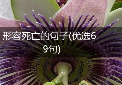 形容死亡的句子(优选69句)