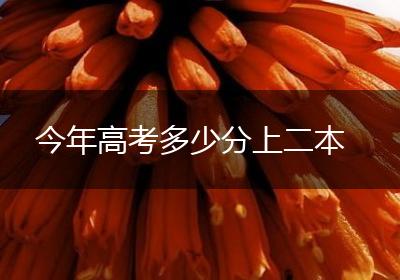 今年高考多少分上二本