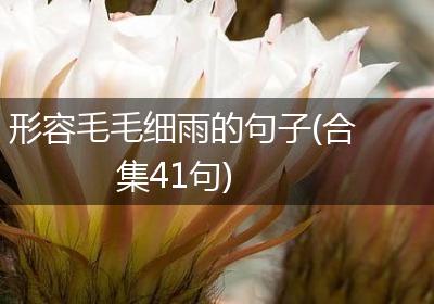 形容毛毛细雨的句子(合集41句)