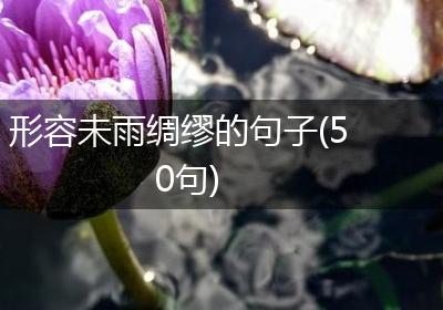 形容未雨绸缪的句子(50句)