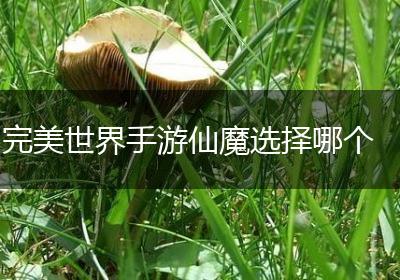 完美世界手游仙魔选择哪个