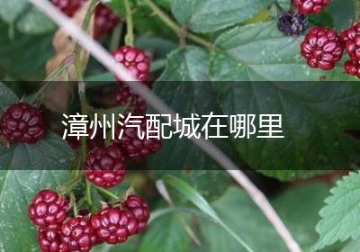 漳州汽配城在哪里
