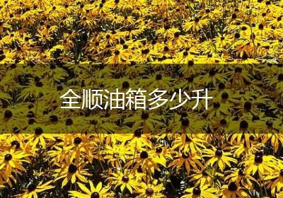 全顺油箱多少升