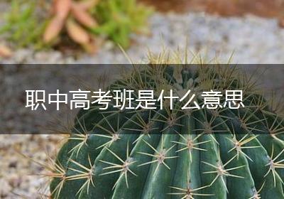 职中高考班是什么意思