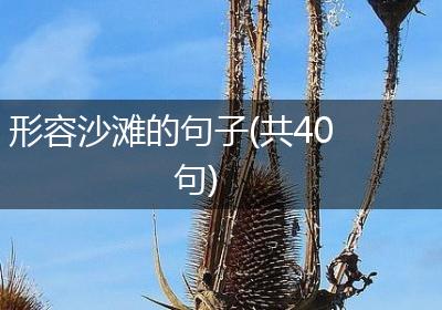 形容沙滩的句子(共40句)