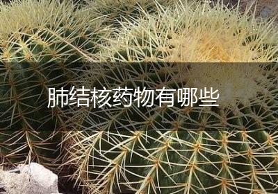 肺结核药物有哪些