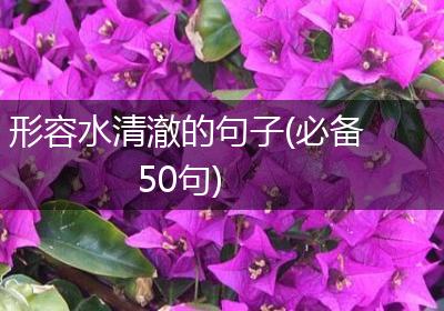 形容水清澈的句子(必备50句)