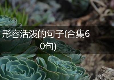 形容活泼的句子(合集60句)