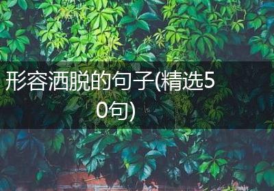 形容洒脱的句子(精选50句)