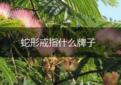 蛇形戒指什么牌子