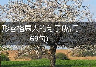 形容格局大的句子(热门69句)