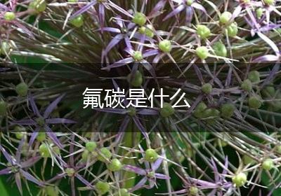 氟碳是什么