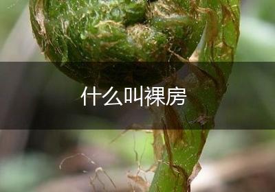 什么叫裸房