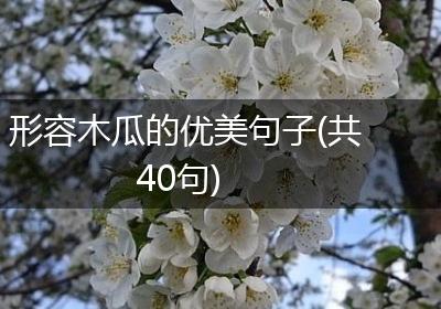 形容木瓜的优美句子(共40句)