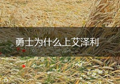 勇士为什么上艾泽利