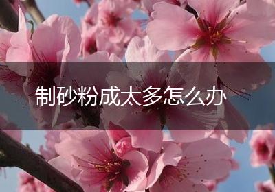制砂粉成太多怎么办