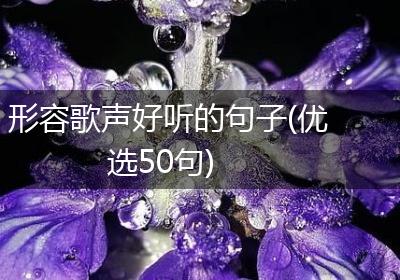 形容歌声好听的句子(优选50句)