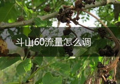 斗山60流量怎么调