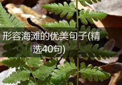 形容海滩的优美句子(精选40句)