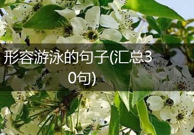 形容游泳的句子(汇总30句)