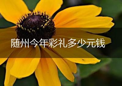 随州今年彩礼多少元钱