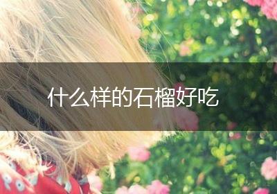 什么样的石榴好吃