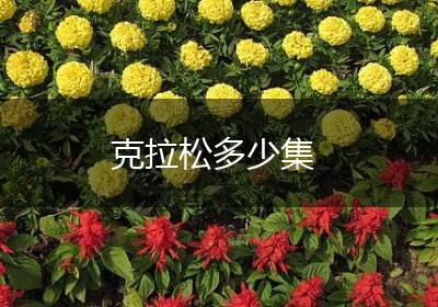 克拉松多少集