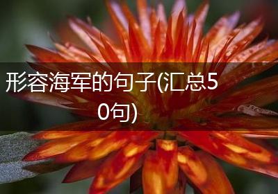形容海军的句子(汇总50句)