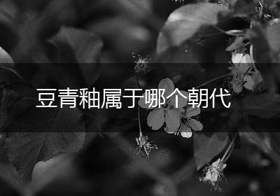 豆青釉属于哪个朝代