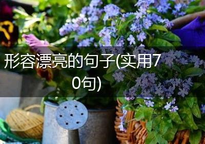 形容漂亮的句子(实用70句)