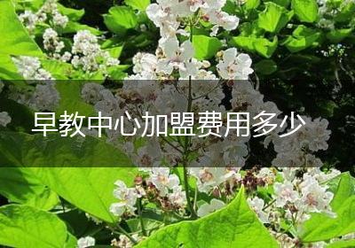 早教中心加盟费用多少