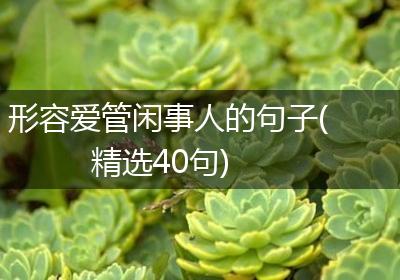 形容爱管闲事人的句子(精选40句)