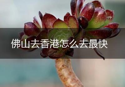 佛山去香港怎么去最快