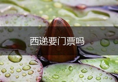 西递要门票吗
