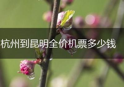 杭州到昆明全价机票多少钱
