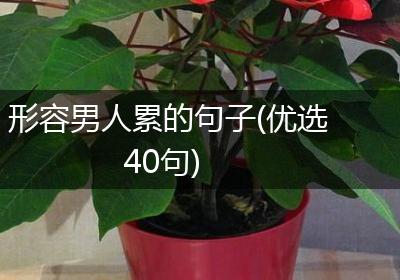 形容男人累的句子(优选40句)