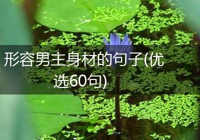 形容男主身材的句子(优选60句)