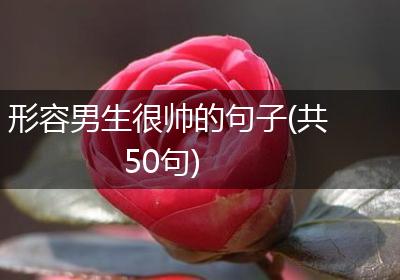 形容男生很帅的句子(共50句)