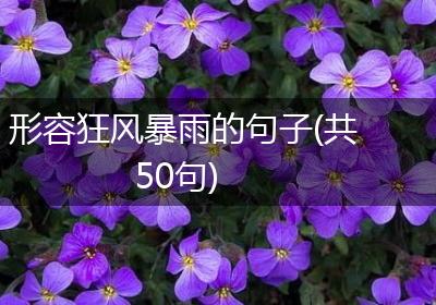 形容狂风暴雨的句子(共50句)
