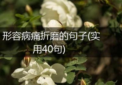 形容病痛折磨的句子(实用40句)