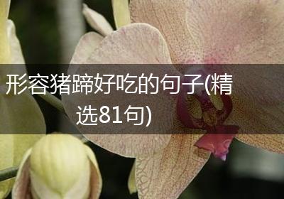形容猪蹄好吃的句子(精选81句)