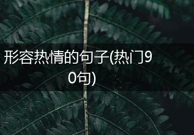 形容热情的句子(热门90句)