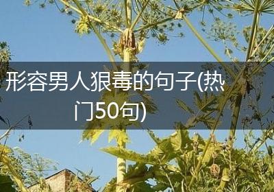 形容男人狠毒的句子(热门50句)