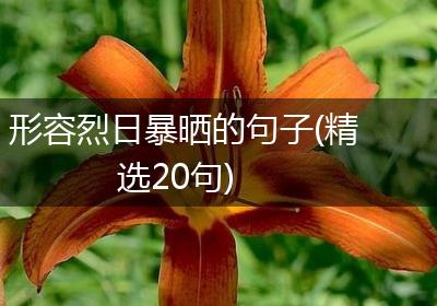 形容烈日暴晒的句子(精选20句)
