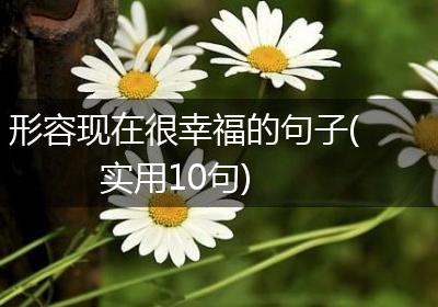形容现在很幸福的句子(实用10句)