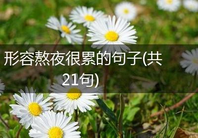 形容熬夜很累的句子(共21句)